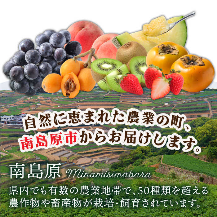 【ふるさと納税】季節の果物 詰め合わせ フルーツセット 旬の果物をお任せで2〜3品目お届け / フルーツ 果物 春フルーツ 夏フルーツ 秋フルーツ 冬フルーツ / 南島原市 / 吉岡青果 [SCZ012] サムネイル2