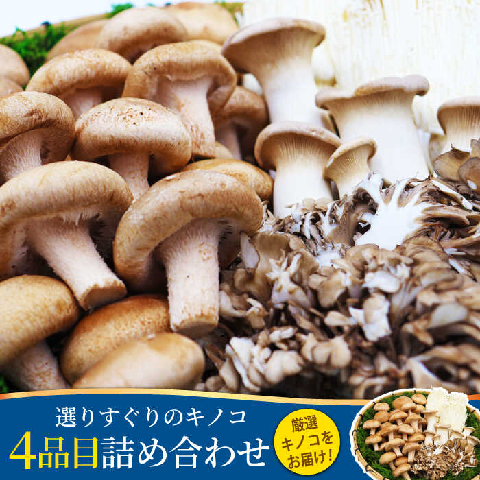 南島原産厳選きのこセット 4品目詰め合わせ / 詰め合わせ きのこ キノコ 茸 きのこセット / 南島原市 / 吉岡青果 [SCZ013]