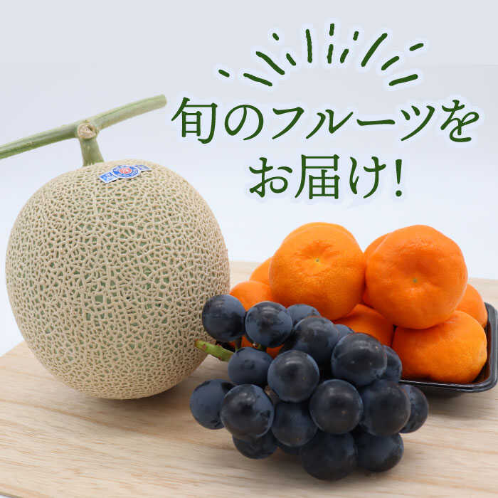 【ふるさと納税】【6回定期便 隔月】フルーツ定期便 旬の果物 詰め合わせ 季節の果物をお任せで2〜3品目お届け（2〜3品目×6回）/ 定期便 フルーツ 果物 春フルーツ 夏フルーツ 秋フルーツ 冬フルーツ / 南島原市 / 吉岡青果 [SCZ016] サムネイル3