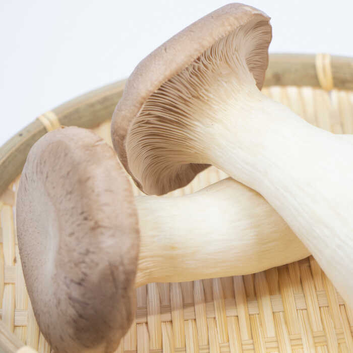 【ふるさと納税】【6回定期便 隔月】きのこ定期便 厳選セット 4品目「6回（隔月）」 / 特選キノコ 詰め合わせ きのこ キノコ きのこセット 新鮮 産地直送 / 南島原市 / 吉岡青果 [SCZ017] - 画像3