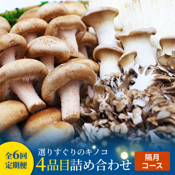 【6回定期便 隔月】きのこ定期便 厳選セット 4品目「6回（隔月）」 / 特選キノコ 詰め合わせ きのこ キノコ きのこセット 新鮮 産地直送 / 南島原市 / 吉岡青果 [SCZ017]