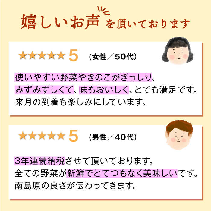 【ふるさと納税】【12回定期便】豪華！野菜 セット 15品目以上 毎月コース 野菜定期便 / 野菜 定期便 やさい 定期便 野菜セット やさいセット 春野菜 夏野菜 秋野菜 冬野菜 旬 / 南島原市 / 吉岡青果 [SCZ019] サムネイル3