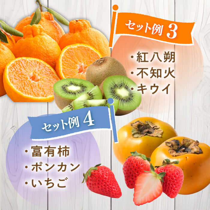 【ふるさと納税】【4回定期便】フルーツ定期便 旬の果物をお任せで3品目お届け（3品目×4回） / 定期便 フルーツ 季節の果物 春フルーツ 夏フルーツ 秋フルーツ 冬フルーツ / 南島原市 / 吉岡青果 [SCZ020] サムネイル3