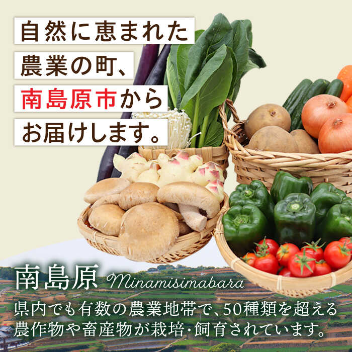 【ふるさと納税】【毎月コース】野菜 キノコ 10品目以上 詰め合わせ 3回定期便 / 野菜定期便 やさい定期便 きのこ セット 定期便 / 南島原市 / 吉岡青果[SCZ022] サムネイル3