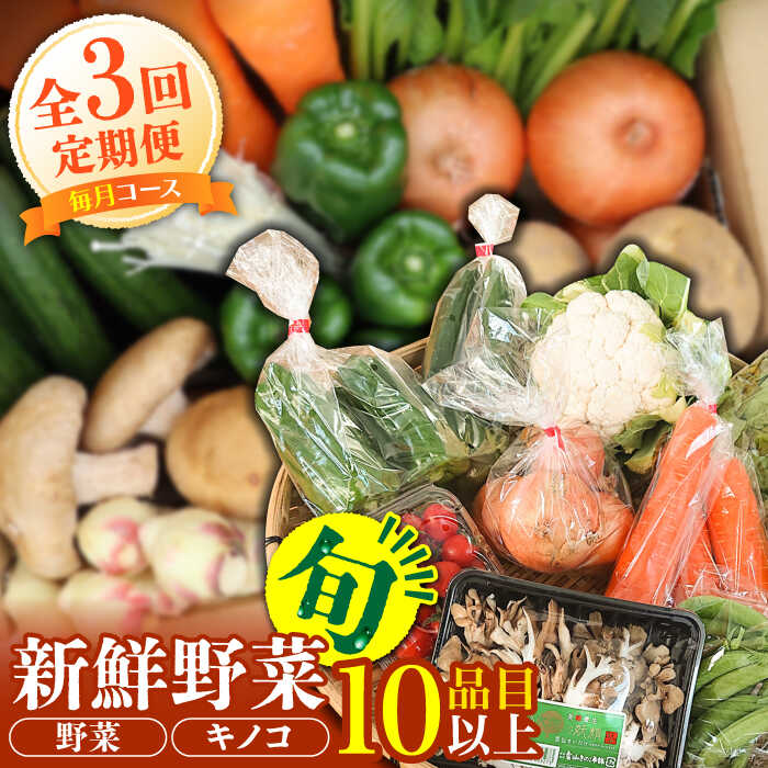 【ふるさと納税】【毎月コース】野菜 キノコ 10品目以上 詰め合わせ 3回定期便 / 野菜定期便 やさい定期便 きのこ セット 定期便 / 南島原市 / 吉岡青果[SCZ022]