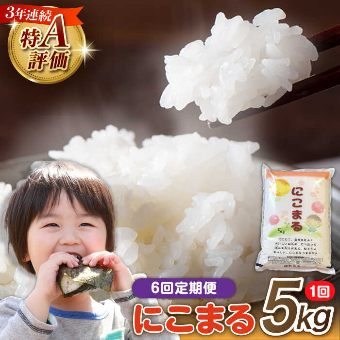 【6回定期便】 長崎県産 精米 にこまる 5kg 総計 30kg / 米 こめ コメ お米 こめ 米 コメ こめ / 南島原市 / 大松屋商店 [SDR003]