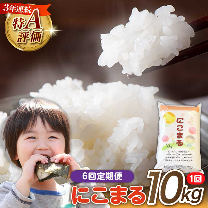 【 6回定期便 】 長崎県産 精米 にこまる 10kg 総計 60kg / 南島原市 / 大松屋商店 [SDR007]