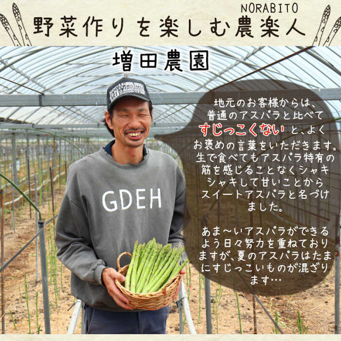 【ふるさと納税】【生で食べられる】スイートアスパラ L〜3L 約1.5kg / アスパラ あすぱら アスパラガス 3L 増田農園 アスパラガス 甘い / 南島原市 / 贅沢宝庫 [SDZ014] - 画像2