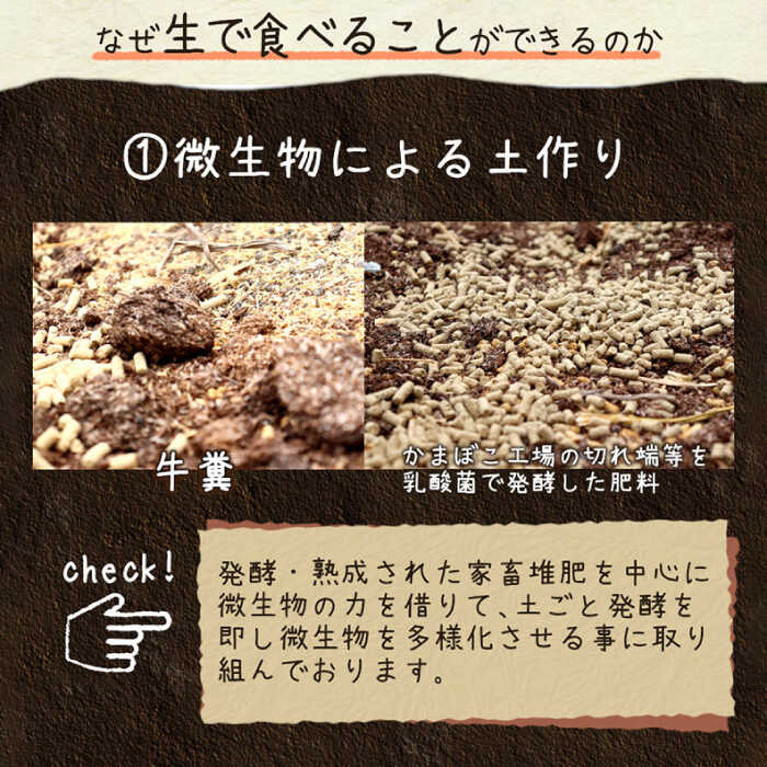 【ふるさと納税】【生で食べられる】スイート アスパラ L〜3L 約 1kg / アスパラ あすぱら アスパラガス 3L 増田農園 アスパラガス 甘い / 南島原市 / 贅沢宝庫 [SDZ015] - 画像3