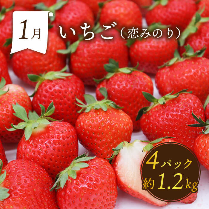 【ふるさと納税】【6回定期便 奇数月コース】＜2026年1月～初回発送＞フルーツ定期便 旬のフルーツをセット/ いちご メロン ハウスみかん 梨 柿 など / 定期便 旬 フルーツ 果物 春フルーツ 夏フルーツ 秋フルーツ 冬フルーツ / 南島原市 / 贅沢宝庫 [SDZ021] サムネイル2