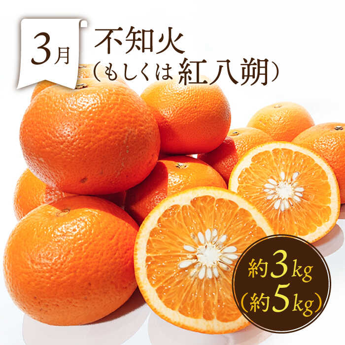 【ふるさと納税】【6回定期便 奇数月コース】＜2026年1月～初回発送＞フルーツ定期便 旬のフルーツをセット/ いちご メロン ハウスみかん 梨 柿 など / 定期便 旬 フルーツ 果物 春フルーツ 夏フルーツ 秋フルーツ 冬フルーツ / 南島原市 / 贅沢宝庫 [SDZ021] サムネイル3
