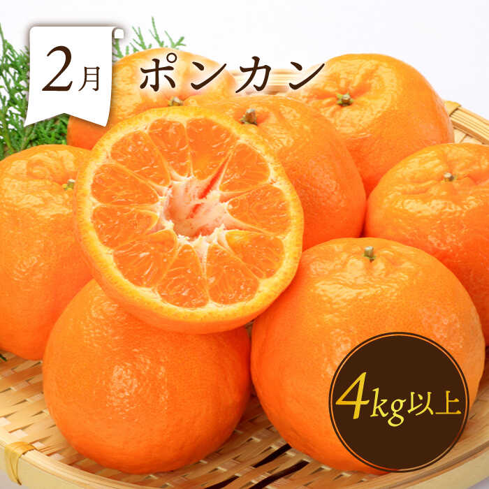 【ふるさと納税】【6回定期便 偶数月コース】＜2026年2月～初回発送＞フルーツ定期便 旬のフルーツをセット / ハウスびわ メロン ぶどう 巨峰 みかん など / 定期便 旬 フルーツ 果物 春フルーツ 夏フルーツ 秋フルーツ 冬フルーツ / 南島原市 / 贅沢宝庫 [SDZ022] サムネイル2