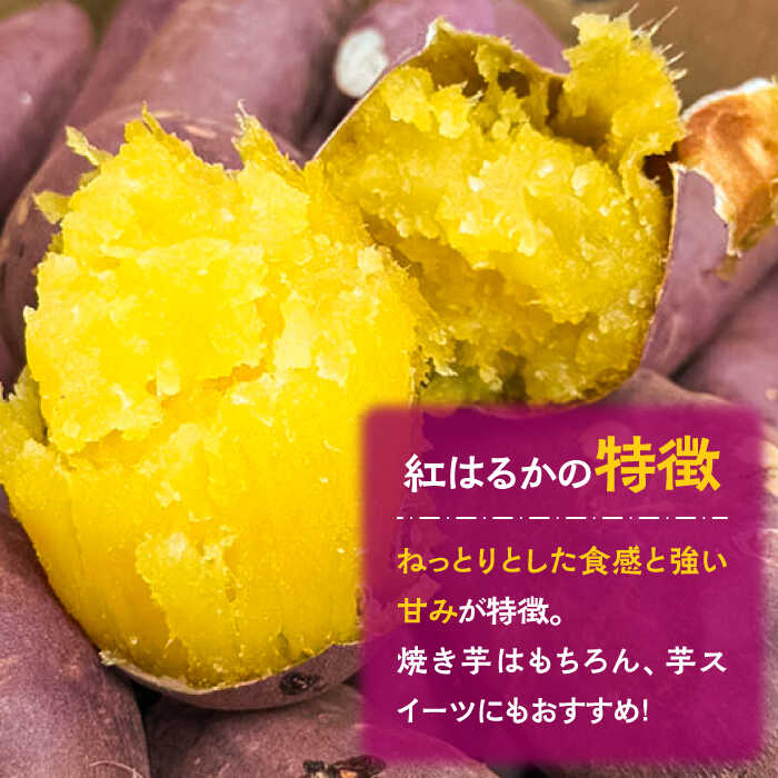 【ふるさと納税】【数量限定】【ねっとり甘い熟成サツマイモ】冷凍焼き芋（紅はるか） 20本(S〜M) / さつまいも やき芋 冷凍 小分け 個包装 冷やし焼き芋 / 南島原市 / 池田海陸物産[SEW001] - 画像2