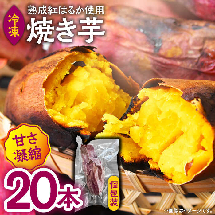 【数量限定】【ねっとり甘い熟成サツマイモ】冷凍焼き芋（紅はるか） 20本(S〜M) / さつまいも やき芋 冷凍 小分け 個包装 冷やし焼き芋 / 南島原市 / 池田海陸物産[SEW001]