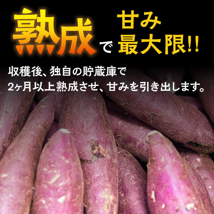 【ふるさと納税】【数量限定】【ねっとり甘い熟成サツマイモ】冷凍焼き芋（紅はるか） 30本(S〜M) / さつまいも やき芋 冷凍 小分け 個包装 冷やし焼き芋 / 南島原市 / 池田海陸物産[SEW003] - 画像3