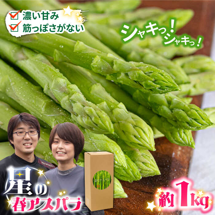 【2026年3月〜発送】＜選べる内容量＞【数量限定】甘い！柔らかい！【星のアスパラ】厳選 グリーン アスパラガス 約1kg 約2kg / アスパラ あすぱら 厳選 あすぱらがす 採れたて 新鮮 野菜 3L・2L・L・Mサイズ / 南島原市 / ほしのYA [SEY001][SEY002]