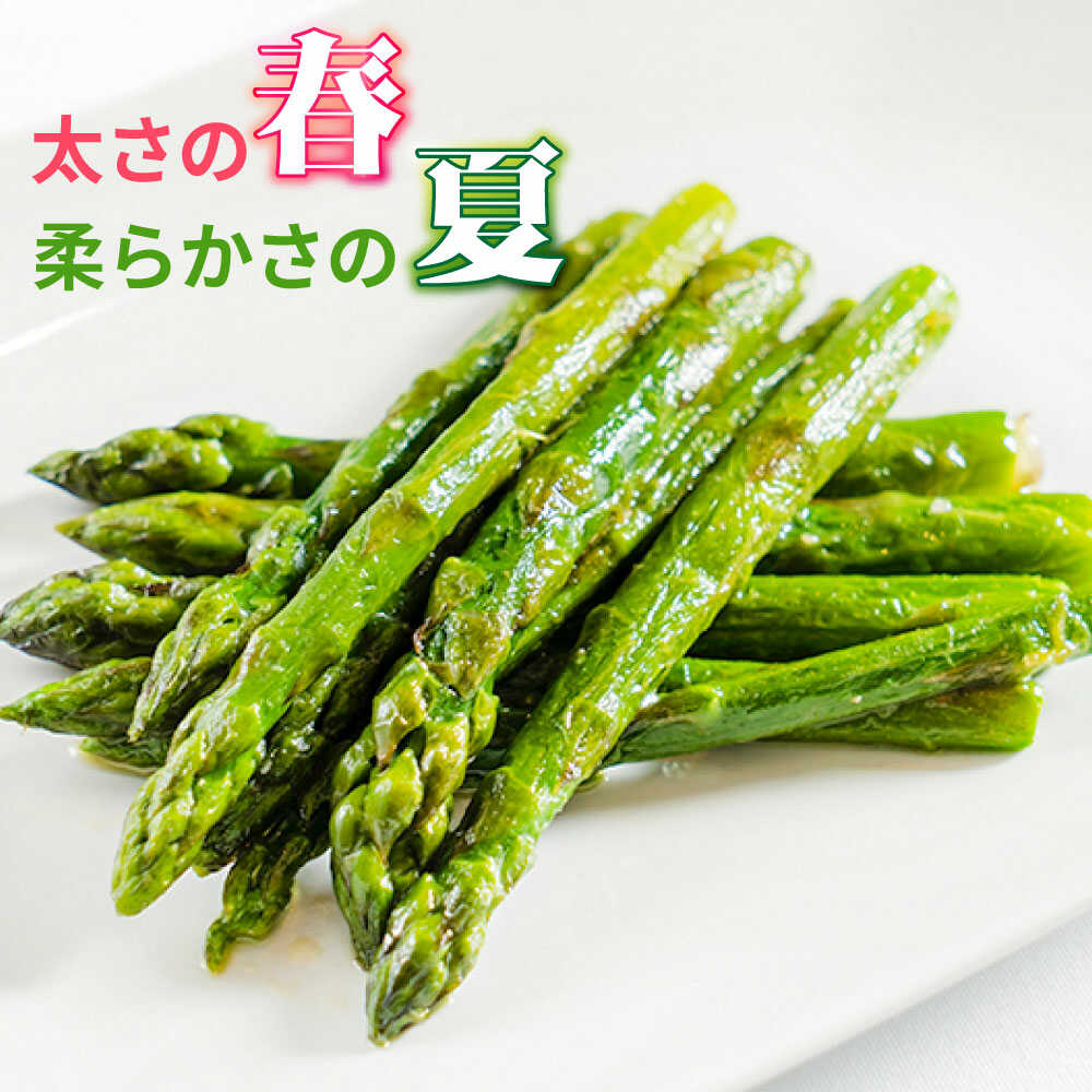 【ふるさと納税】【3回定期便】【星のアスパラ】春・夏 の グリーン アスパラガス 約1kg / アスパラ 野菜 / 南島原市 / ほしのYA[SEY016] - 画像3