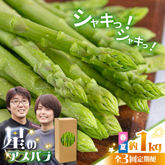 【3回定期便】【星のアスパラ】春・夏 の グリーン アスパラガス 約1kg / アスパラ 野菜 / 南島原市 / ほしのYA[SEY016]
