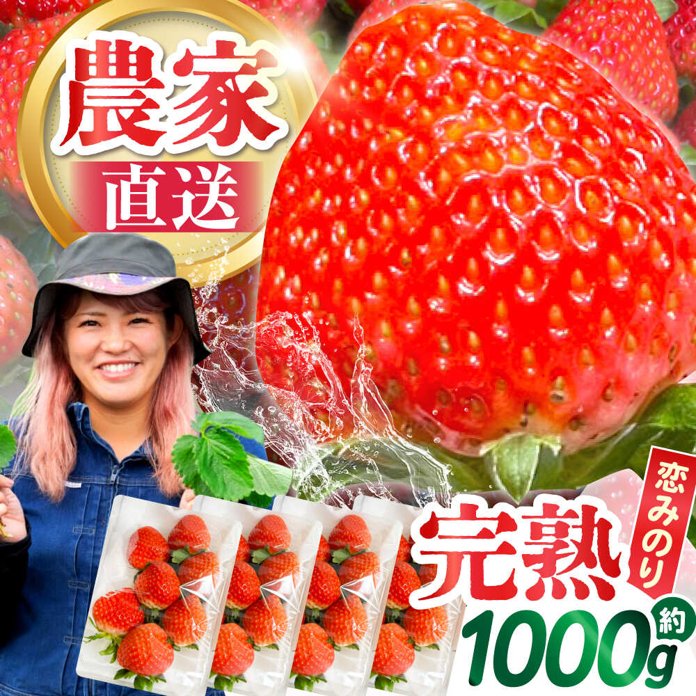 【2026年1月〜発送】南島原産 いちご 『恋みのり』約250g×4パック / フルーツ 果物 イチゴ 苺 / 南島原市 / あゆみfarm [SFF001]