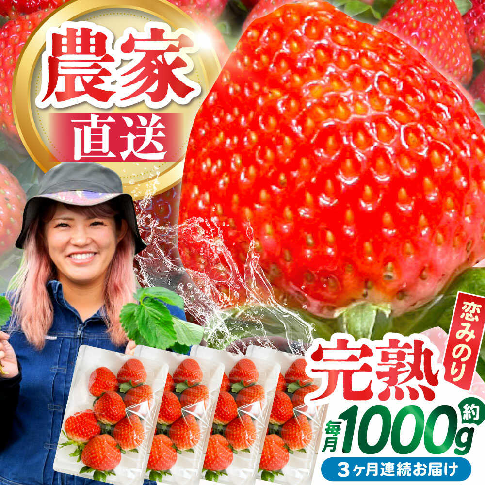 【2026年2月 初回発送】【3回定期便】南島原産 いちご 「恋みのり」約260g×4P / イチゴ いちご イチゴ いちご いちご イチゴ いちご 苺 フルーツ 果物 / 南島原市 / あゆみfarm [SFF003]