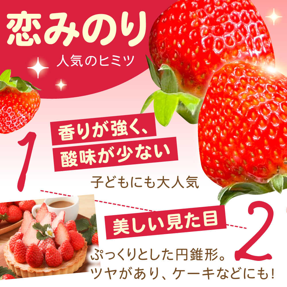 【ふるさと納税】【2026年1月 初回発送】【5回定期便】南島原産 いちご 「恋みのり」約260g×4P / いちご イチゴ 苺 フルーツ 果物 / 南島原市 / あゆみfarm [SFF004] サムネイル3