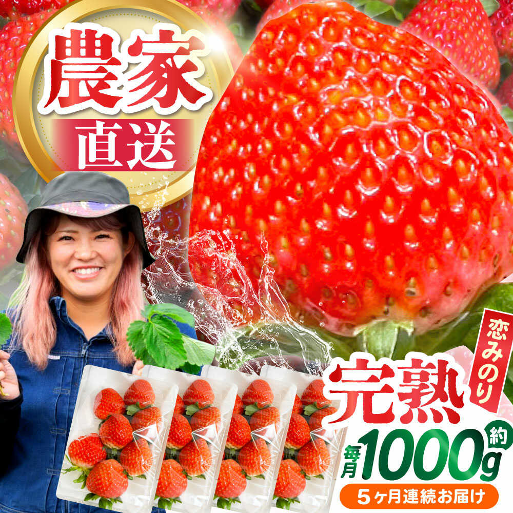 【2026年1月 初回発送】【5回定期便】南島原産 いちご 「恋みのり」約260g×4P / いちご イチゴ 苺 フルーツ 果物 / 南島原市 / あゆみfarm [SFF004]