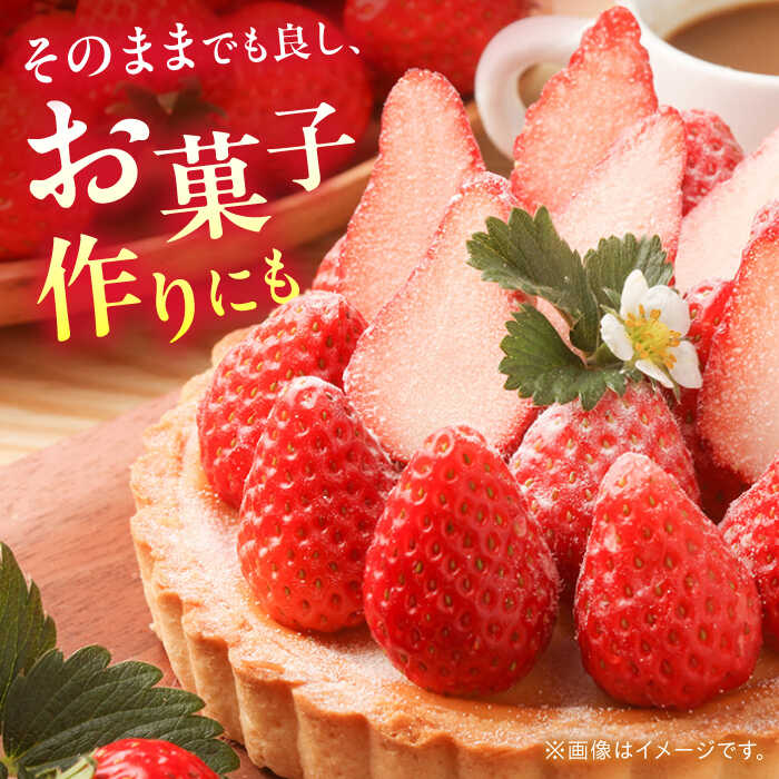 【ふるさと納税】【2026年1月中旬〜発送】【数量限定】いちご「ゆめのか」 約260g × 4P / イチゴ 苺 フルーツ 果物 産地直送 朝摘み / 南島原市 / O' Berry![SGA001] サムネイル3