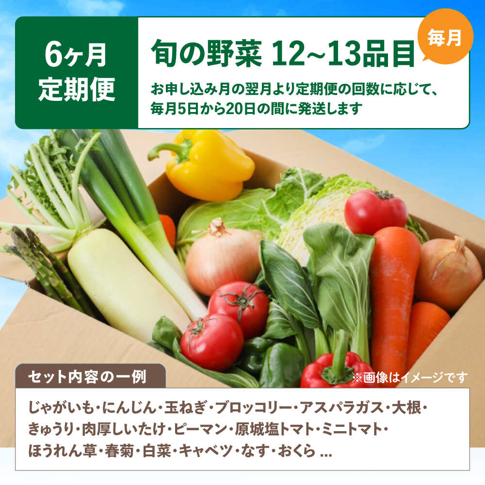 【ふるさと納税】【6回定期便】野菜のプロが選ぶ 旬の野菜セット 12〜13品目 野菜定期便 / 野菜 やさい セット 新鮮 / 南島原市 / 愛2農園[SGG003] - 画像2