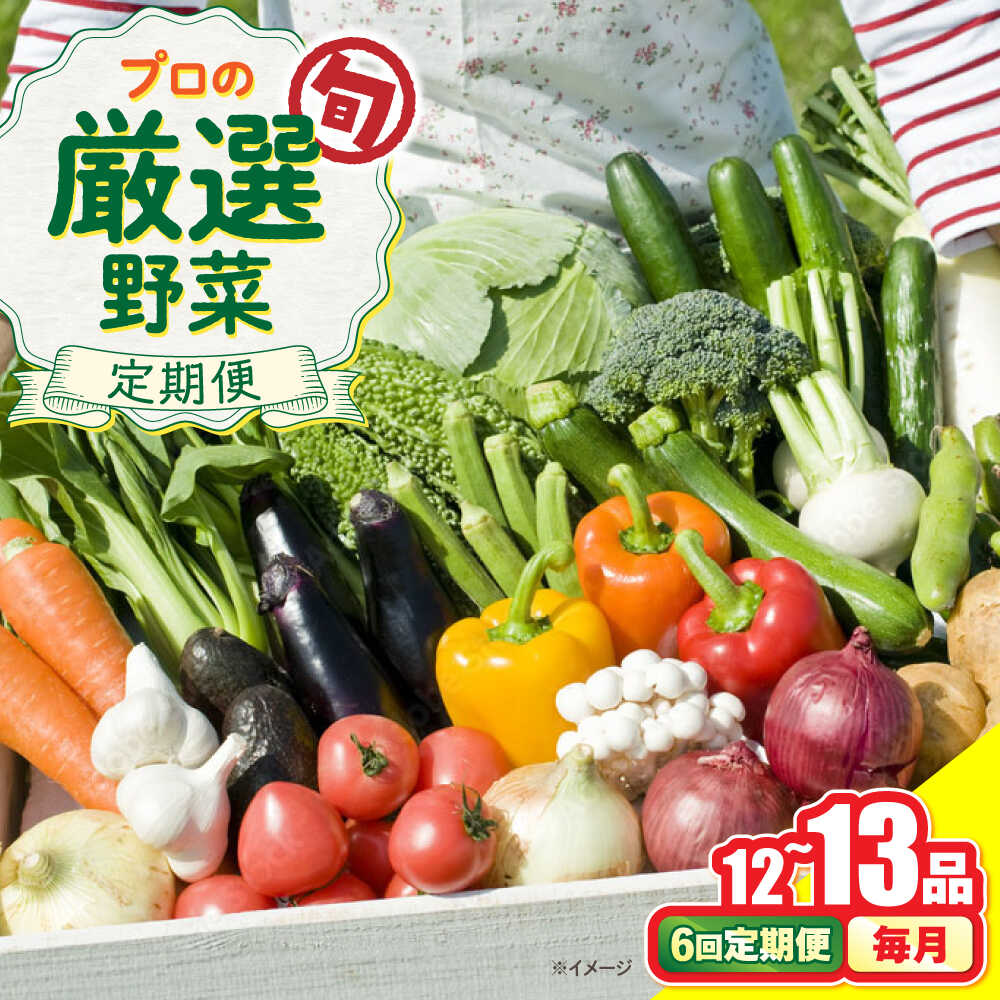 【6回定期便】野菜のプロが選ぶ 旬の野菜セット 12〜13品目 野菜定期便 / 野菜 やさい セット 新鮮 / 南島原市 / 愛2農園[SGG003]