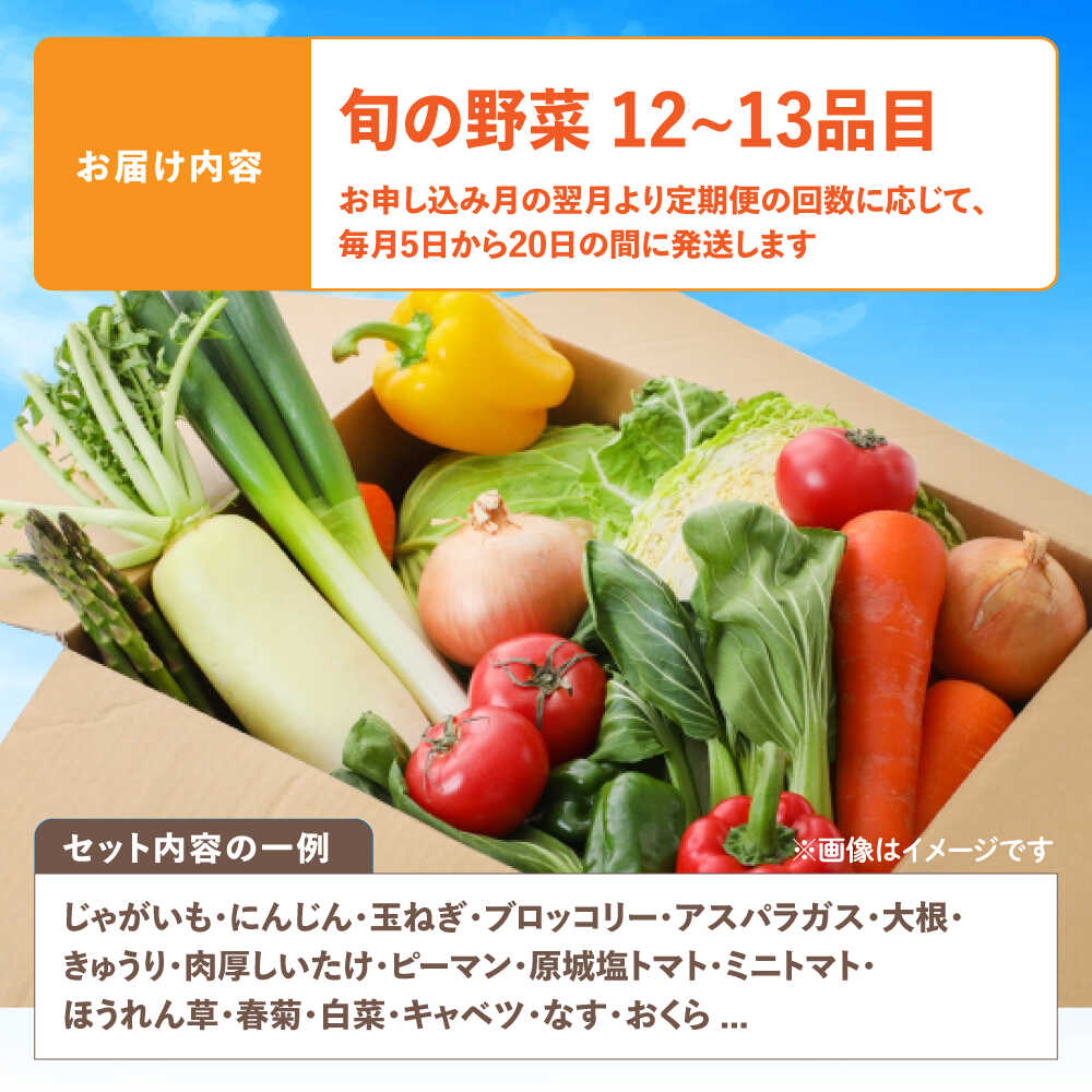 【ふるさと納税】野菜のプロが選ぶ 旬の野菜セット 12〜13品目 野菜定期便 / 野菜 やさい セット 新鮮 / 南島原市 / 愛2農園[SGG005] - 画像2