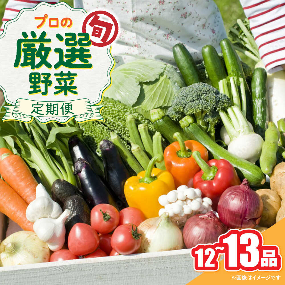 野菜のプロが選ぶ 旬の野菜セット 12〜13品目 野菜定期便 / 野菜 やさい セット 新鮮 / 南島原市 / 愛2農園[SGG005]