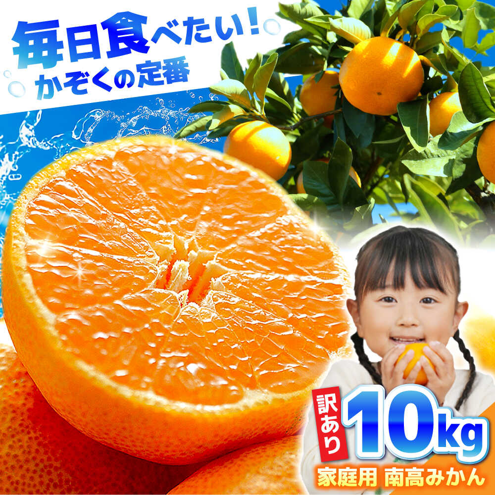 【2025年12月中旬〜発送】【訳あり】家庭用 南高みかん 10kg / みかん ミカン 蜜柑 果物 フルーツ / 南島原市 / 南高果樹農業協同組合[SGI002]