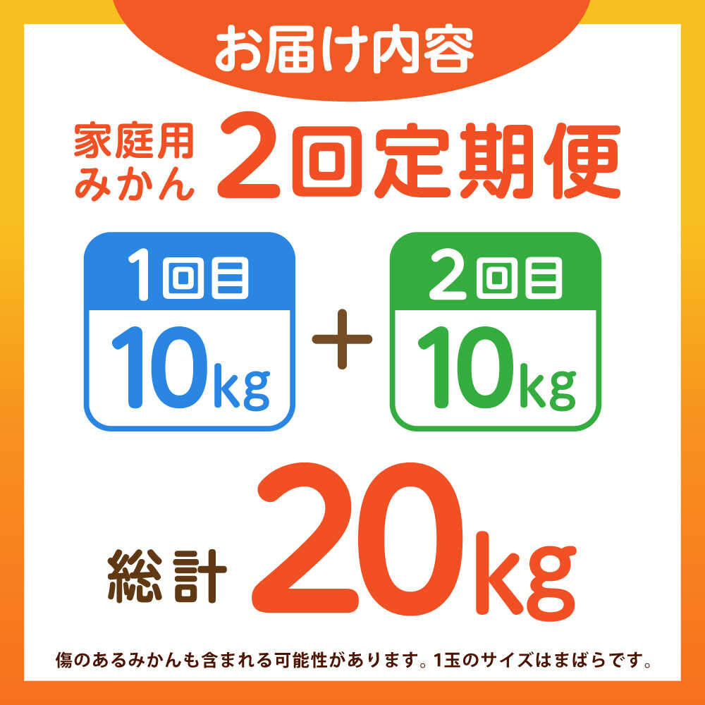 【ふるさと納税】【2025年12月〜発送】【2回定期便】家庭用 みかん 約10kg（計約20kg） / ミカン 蜜柑 果物 フルーツ / 南島原市 / はじめ農園[SGK004] サムネイル2