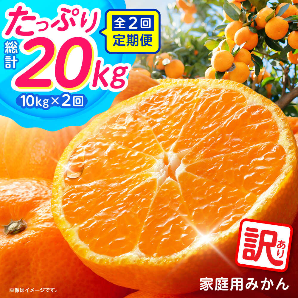【2025年12月〜発送】【2回定期便】家庭用 みかん 約10kg（計約20kg） / ミカン 蜜柑 果物 フルーツ / 南島原市 / はじめ農園[SGK004]
