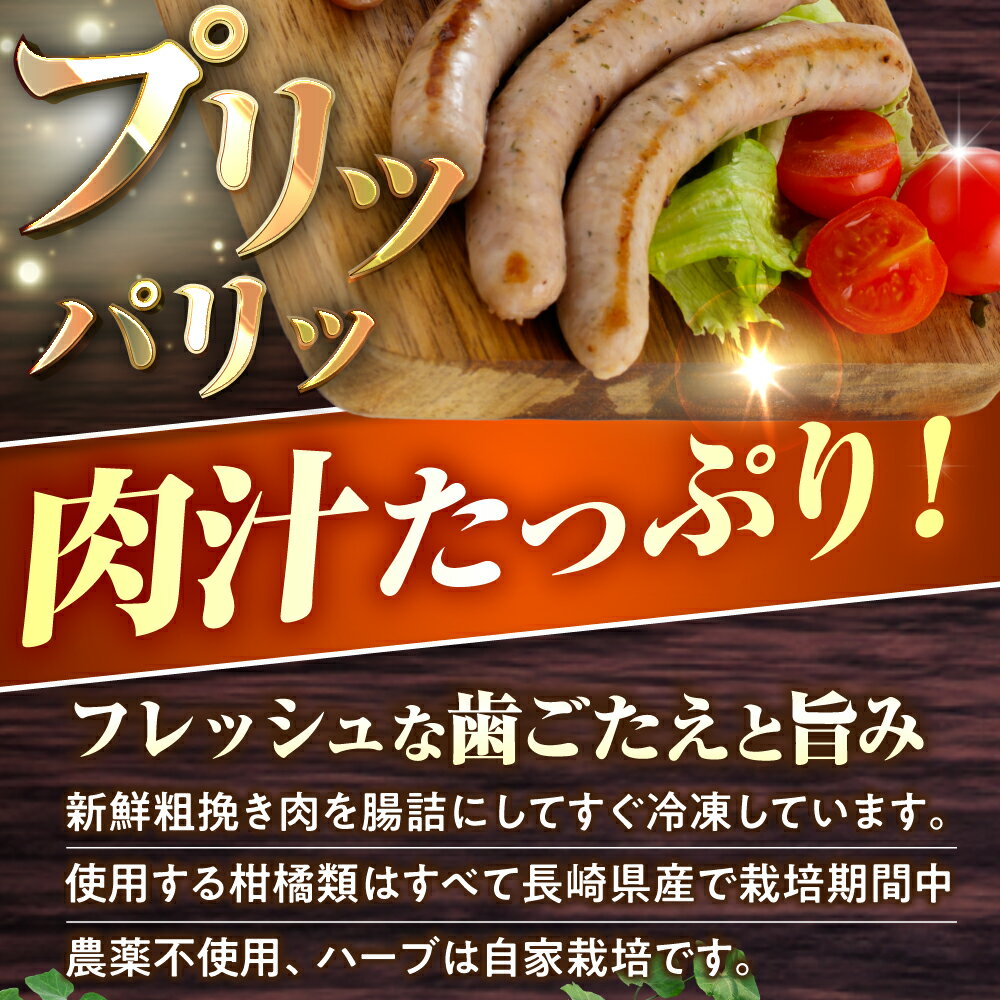 【ふるさと納税】生ソーセージ 5袋/7袋（7本/袋）またはふるさと納税限定セット ※生ソーセージは無塩せき（亜硝酸ナトリウム不使用） [EAM026] 選べる本数/セット内容/お届け回数 ソーセージ ウインナー 国産 豚肉 詰め合わせ 詰合せ セット ギフト サムネイル3