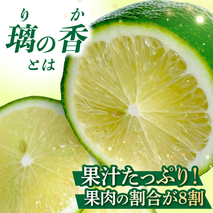 【ふるさと納税】【長崎県長与町産】璃の香 （ りのか ） 約3kg レモン ー2025年8月下旬より発送ー 長与町/井上柑橘園 [EAA005] りのか レモン 3kg フルーツ 果物 くだもの 果実 柑橘 檸檬 れもん 先行予約 レモンティ レモネード 国産 産地直送 サムネイル3