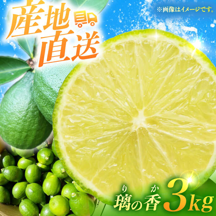 【長崎県長与町産】璃の香 （ りのか ） 約3kg レモン ー2025年8月下旬より発送ー 長与町/井上柑橘園 [EAA005] りのか レモン 3kg フルーツ 果物 くだもの 果実 柑橘 檸檬 れもん 先行予約 レモンティ レモネード 国産 産地直送