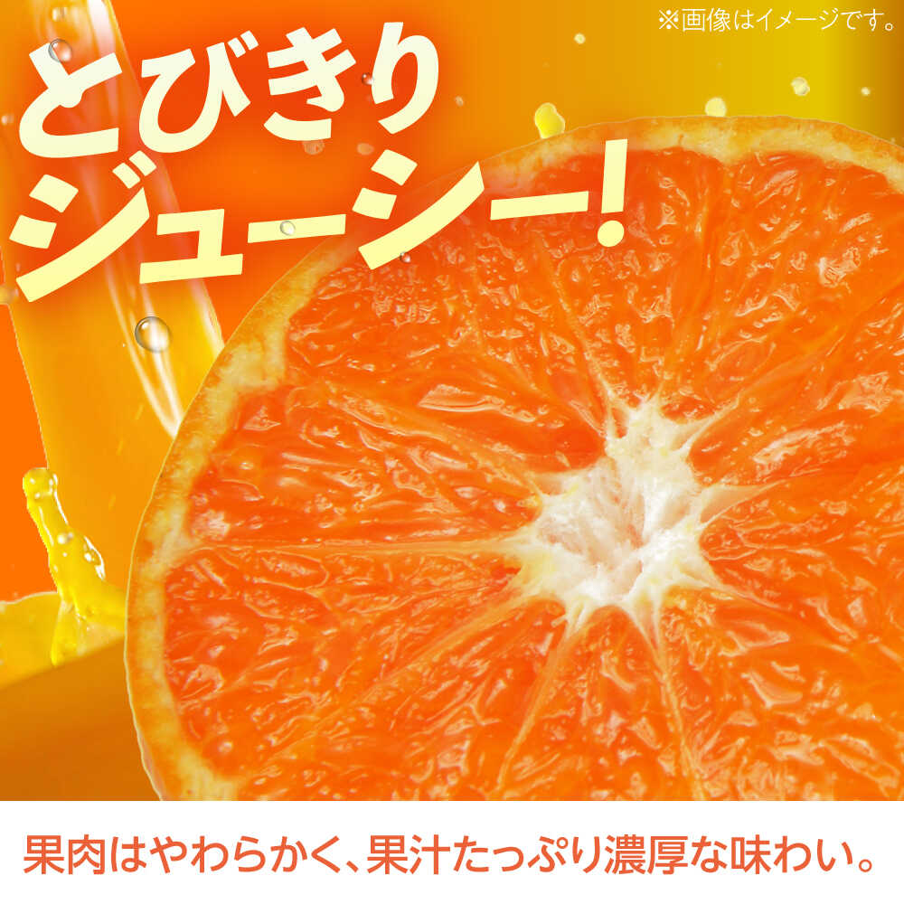 【ふるさと納税】マーコット約3kg 長与/JAじげもん長与直売所[EAF006] マーコット まーこっと おれんじ オレンジ みかん ミカン 柑橘 果物 フルーツ 3kg 箱入り ジューシー 甘い やわらかい 凝縮 果汁 濃厚 酸味 旨味 送料無料 国産 長与町 常温 ギフト 贈答 家族 サムネイル2