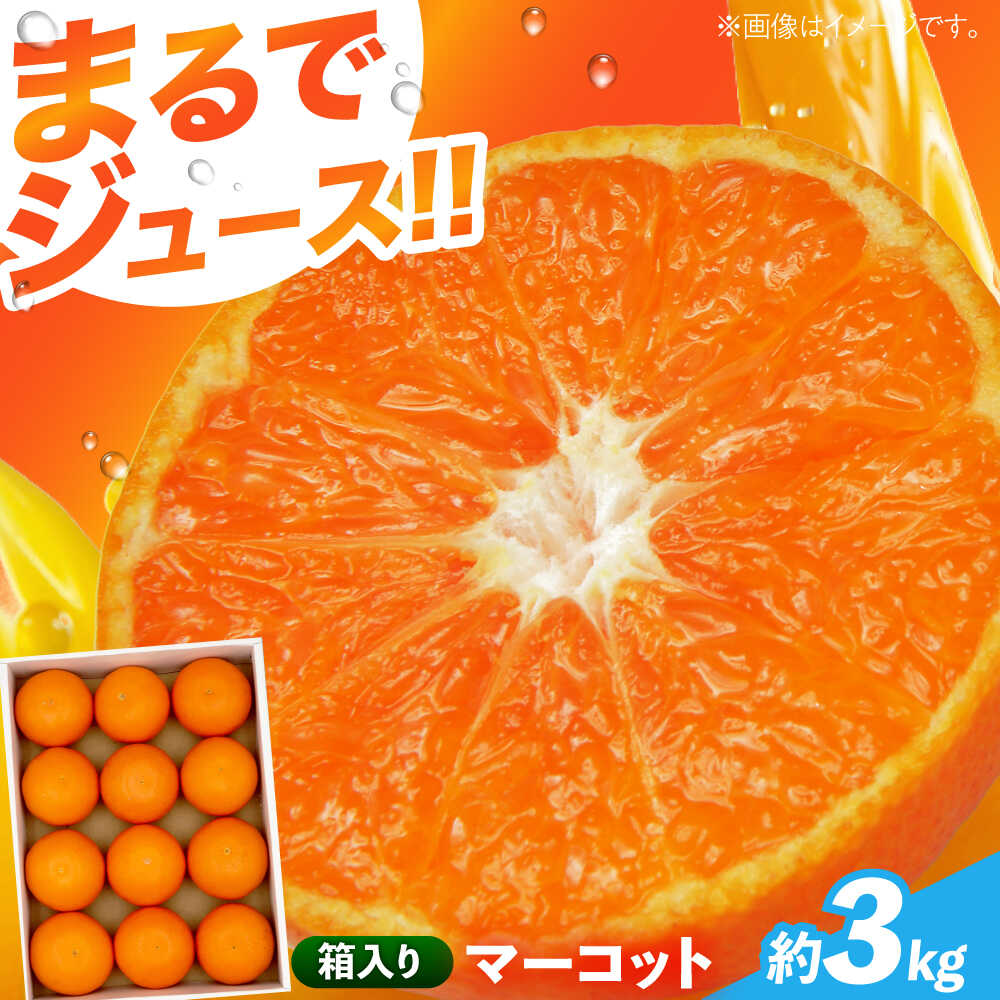 マーコット約3kg 長与/JAじげもん長与直売所[EAF006] マーコット まーこっと おれんじ オレンジ みかん ミカン 柑橘 果物 フルーツ 3kg 箱入り ジューシー 甘い やわらかい 凝縮 果汁 濃厚 酸味 旨味 送料無料 国産 長与町 常温 ギフト 贈答 家族