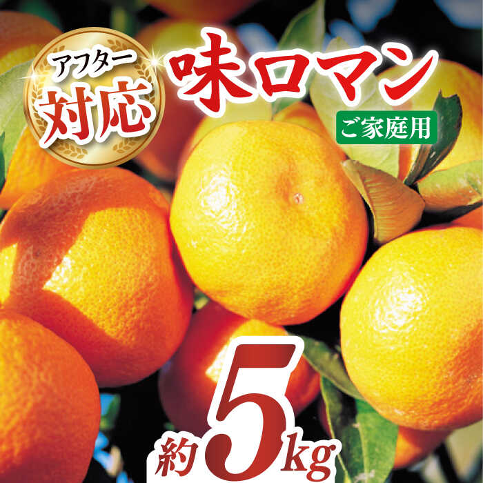 【ご家庭用】味ロマン 約5kg（約50〜60個） ー2025年11月下旬より発送ー長与町/長崎西彼農業協同組合 長与支店 [EAH004] みかん ミカン