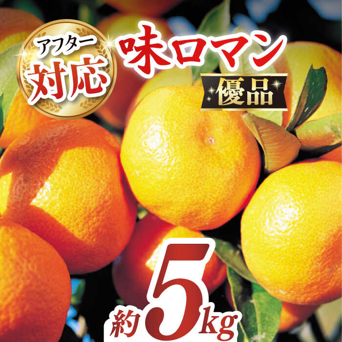 【優品】味ロマン 約5kg （約50〜60個）ー2025年11月下旬より発送ー長与町/長崎西彼農業協同組合 長与支店 [EAH005] みかん ミカン