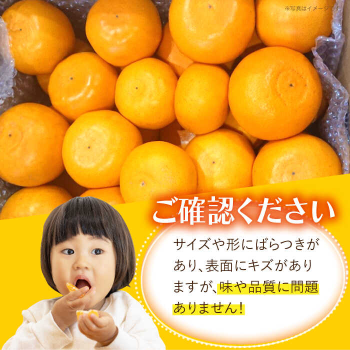 【ふるさと納税】みかん『せとか』 約3〜5kg -2026年2月中旬頃から順次発送- 長与町/かわはら [EAS002] 柑橘 完熟 みかん ミカン 果物 フルーツ くだもの 国産 せとか 先行予約 数量限定 九州みかん 長崎県 長与町 みかん サムネイル2