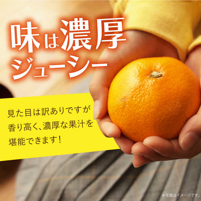 【ふるさと納税】みかん『せとか』 約3〜5kg -2026年2月中旬頃から順次発送- 長与町/かわはら [EAS002] 柑橘 完熟 みかん ミカン 果物 フルーツ くだもの 国産 せとか 先行予約 数量限定 九州みかん 長崎県 長与町 みかん サムネイル3