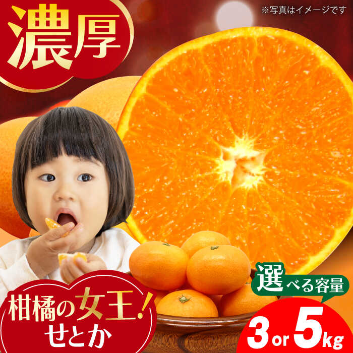 みかん『せとか』 約3〜5kg -2026年2月中旬頃から順次発送- 長与町/かわはら [EAS002] 柑橘 完熟 みかん ミカン 果物 フルーツ くだもの 国産 せとか 先行予約 数量限定 九州みかん 長崎県 長与町 みかん