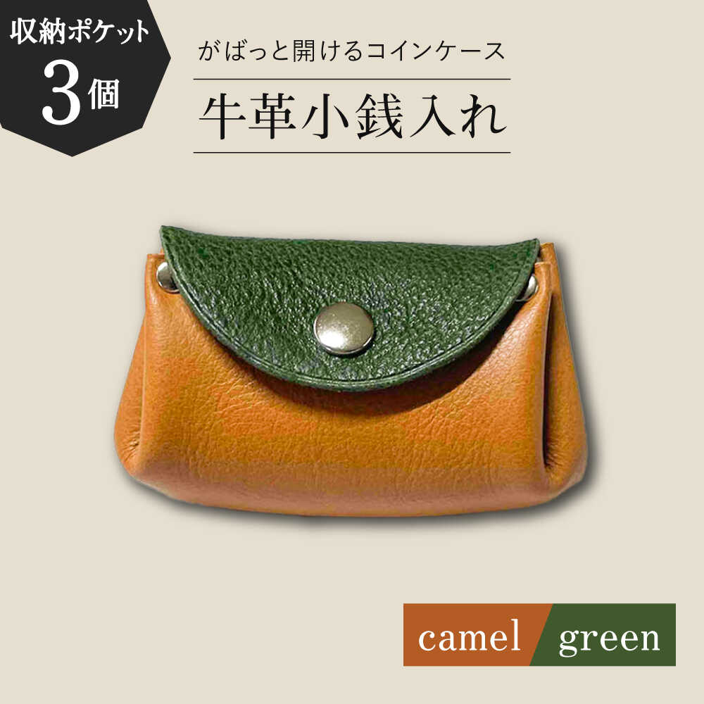 【コインを3つに分けて収納できる】牛革 小銭入れ（キャメル/グリーン）長与町/グッピーサウンド[EBG015] 牛革 ぎゅうかわ コインケース こいんけーす 小銭入れ こぜにいれ ビジネスシーン 贈り物 プレゼント 送料無料 常温 長与町 収納 キャメル グリーン