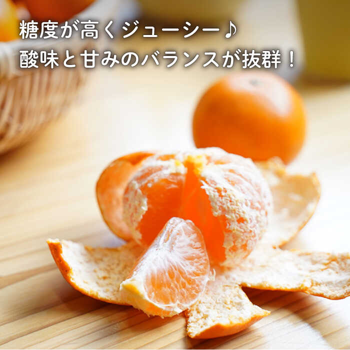 【ふるさと納税】【数量限定】盛田みかん Sサイズ 約5kg（50〜60個前後）ー2025年12月より発送ー 長与町/山口農園 [EBI001] 盛田 みかん 温州みかん 柑橘 フルーツ 果物 季節限定 希少 稀少 長崎県産 長与町 産地直送 先行予約 サムネイル2