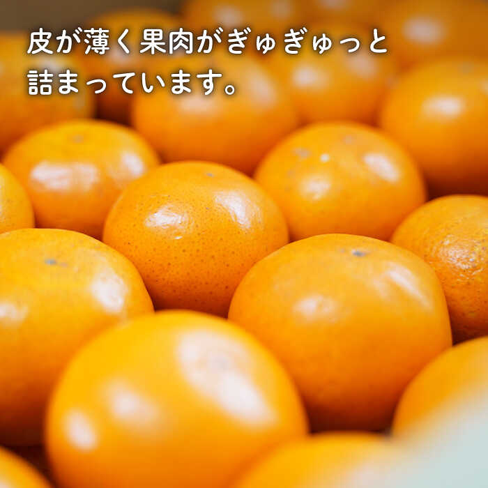 【ふるさと納税】【数量限定】盛田みかん Sサイズ 約5kg（50〜60個前後）ー2025年12月より発送ー 長与町/山口農園 [EBI001] 盛田 みかん 温州みかん 柑橘 フルーツ 果物 季節限定 希少 稀少 長崎県産 長与町 産地直送 先行予約 サムネイル3