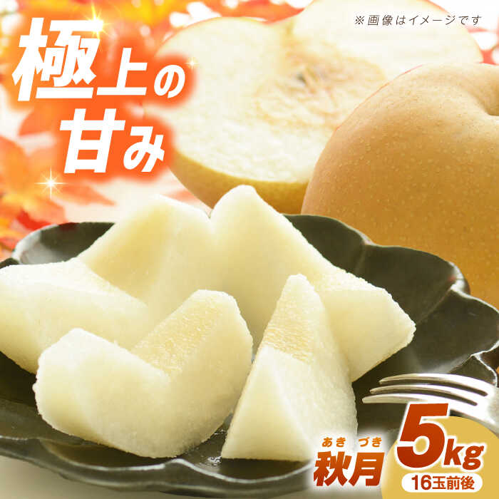 【数量限定】秋月（梨）約5kg（16玉前後 L～3L）ー2026年9月より発送ー 長与町/溝上農園 [EBY003] 長崎県産 長与町 先行予約 大容量 フルーツ 果物 梨 なし ナシ 秋月 あきづき 大容量 お取り寄せ