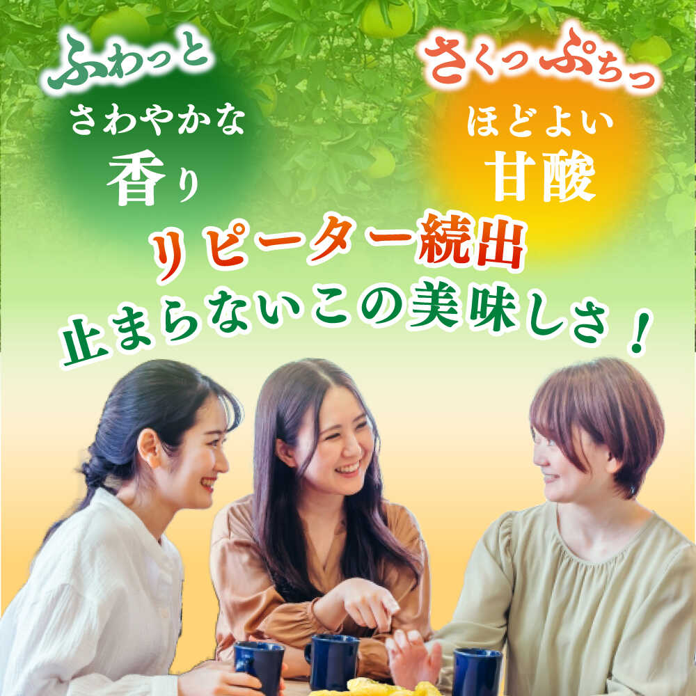 【ふるさと納税】【数量限定】サワーポメロ 約 5kg ー2026年3月より発送ー 長与町/ 溝上農園 [EBY004] サワーポメロ 先行予約 国産 柑橘 果物 くだもの 文旦 フルーツ お取り寄せ 長崎県産 長与町 文旦 ぶんたん ボンタン ザボン サムネイル3