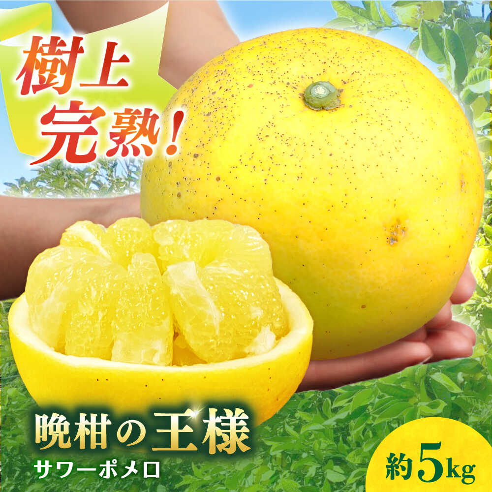 【数量限定】サワーポメロ 約 5kg ー2026年3月より発送ー 長与町/ 溝上農園 [EBY004] サワーポメロ 先行予約 国産 柑橘 果物 くだもの 文旦 フルーツ お取り寄せ 長崎県産 長与町 文旦 ぶんたん ボンタン ザボン